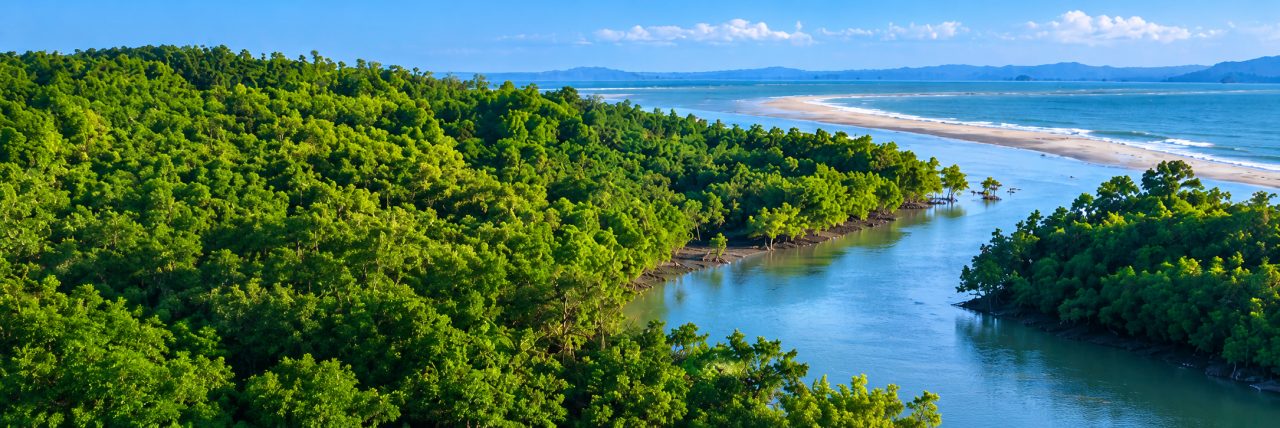 Coastal landscape along the Bangladesh shoreline